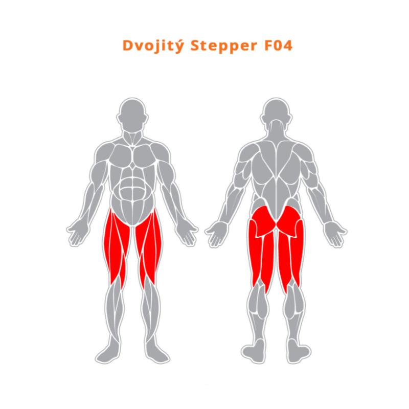 Dvojitý stepper