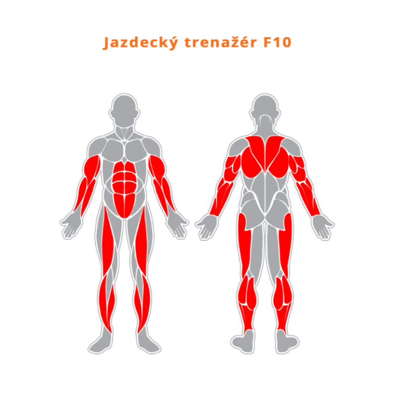 Jazdecký trenažér
