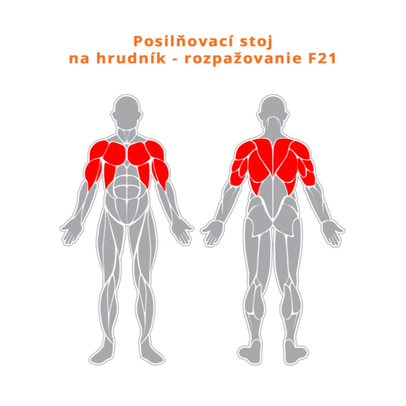 Posilovací stroj na hrudník – Rozpažení