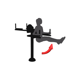 Posilňovač brušných svalov