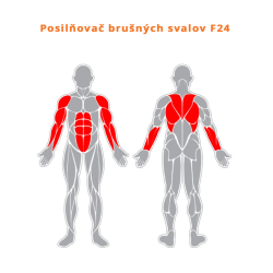 Posilňovač brušných svalov