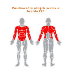 Posilňovač brušných svalov a hrazda