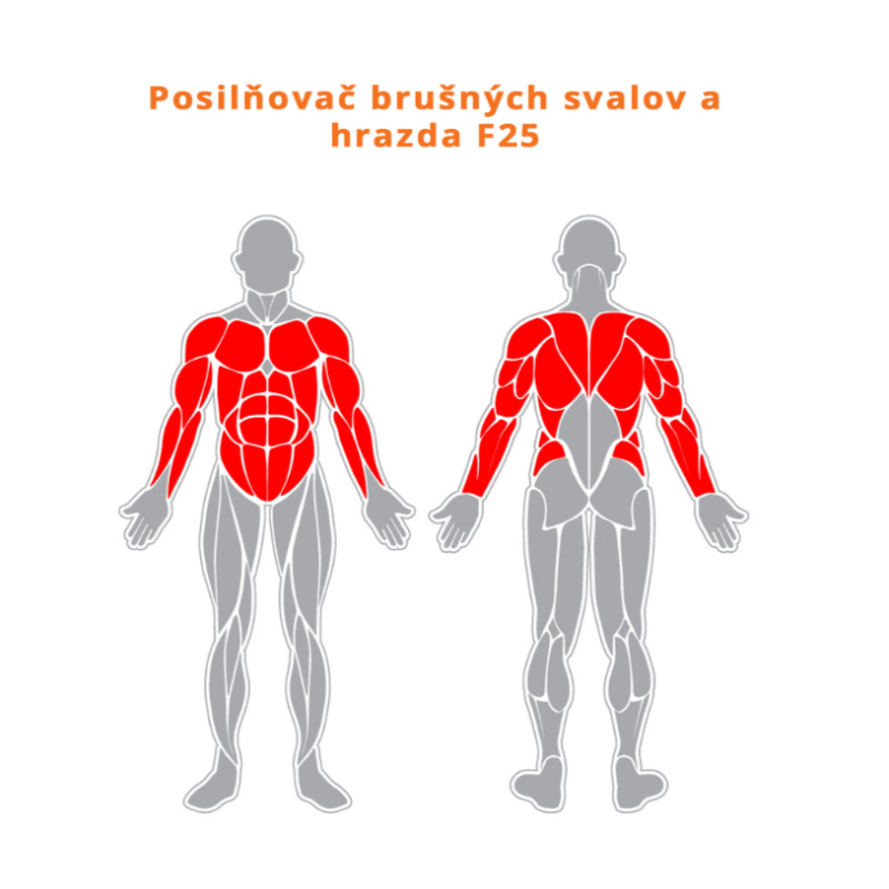 Posilovač břišních svalů a hrazda