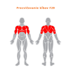 Precvičovanie kĺbov