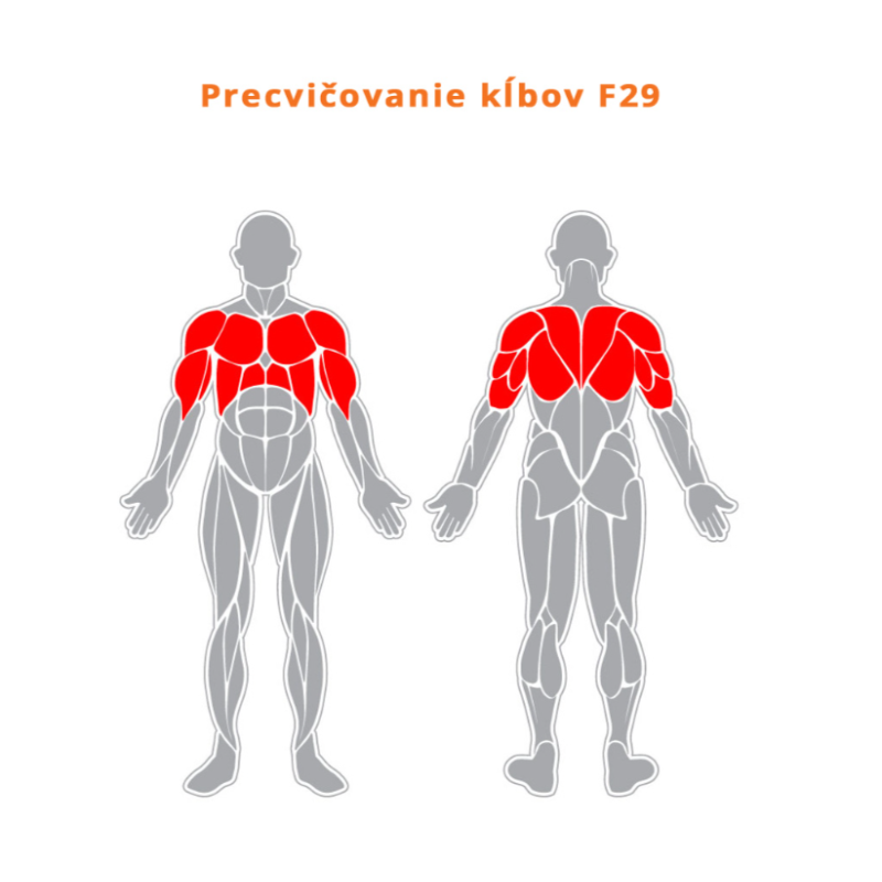 Precvičovanie kĺbov