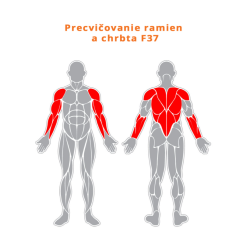 Posilňovanie ramien a chrbta
