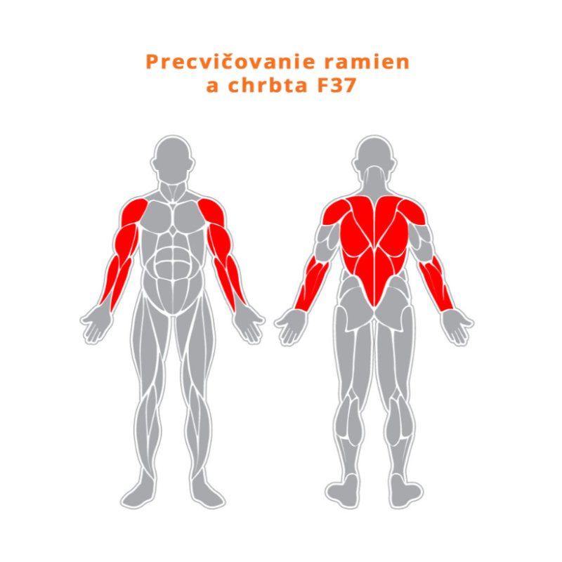 Posilňovanie ramien a chrbta