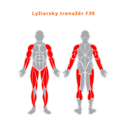 Lyžařský trenažér