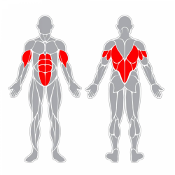 Veslovací trenažér