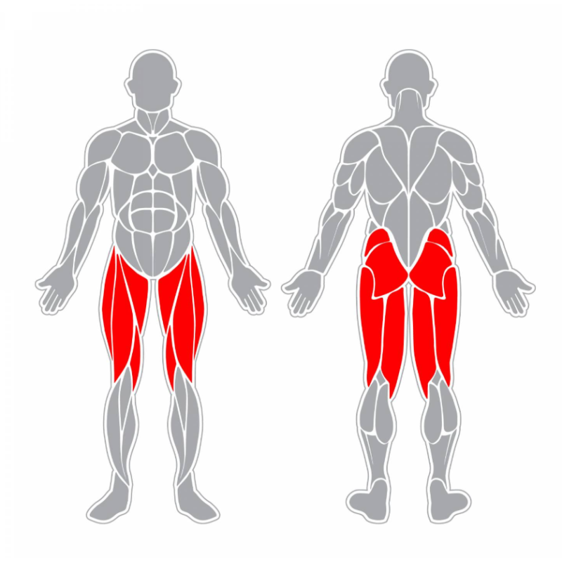 Dřepovací trenažér