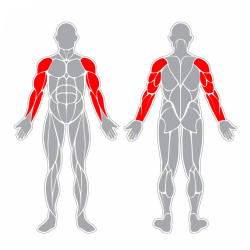Posilovač horních končetin