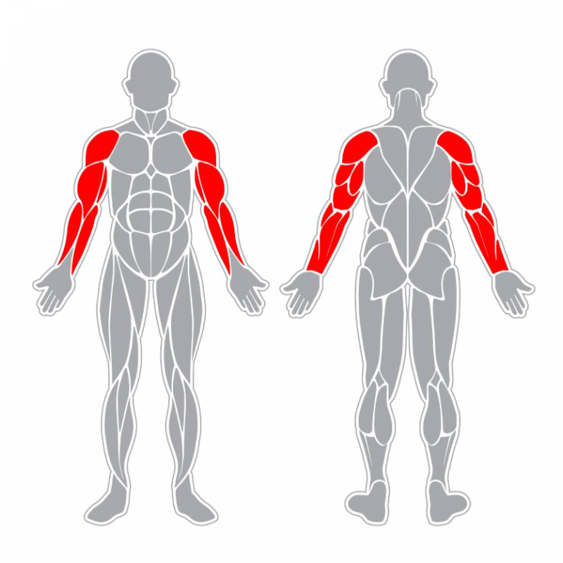Posilňovač horných končatín