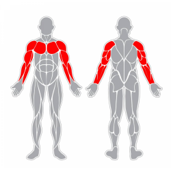 Kruh na horní končetiny
