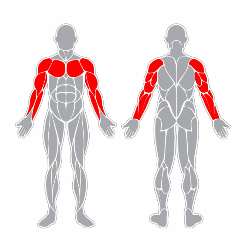 Kruh na horní končetiny