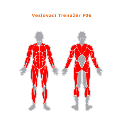 Veslařský trenažér