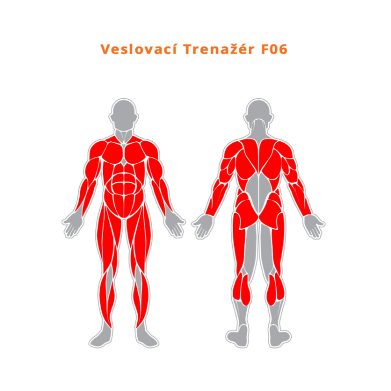 Veslařský trenažér